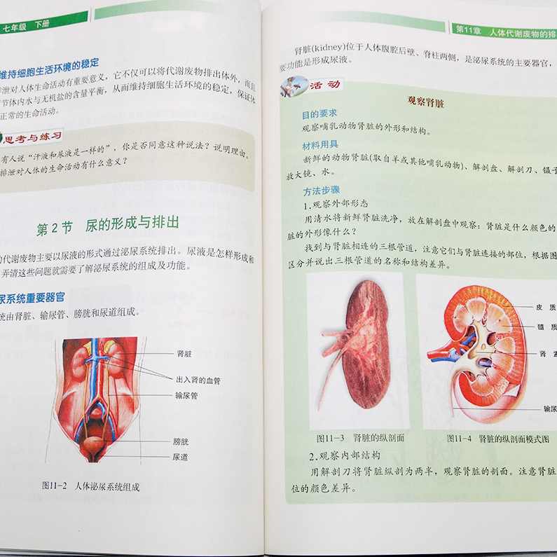 初中生物 七年级下课程视频教程及电子课本,课程,发展,营养,第1张