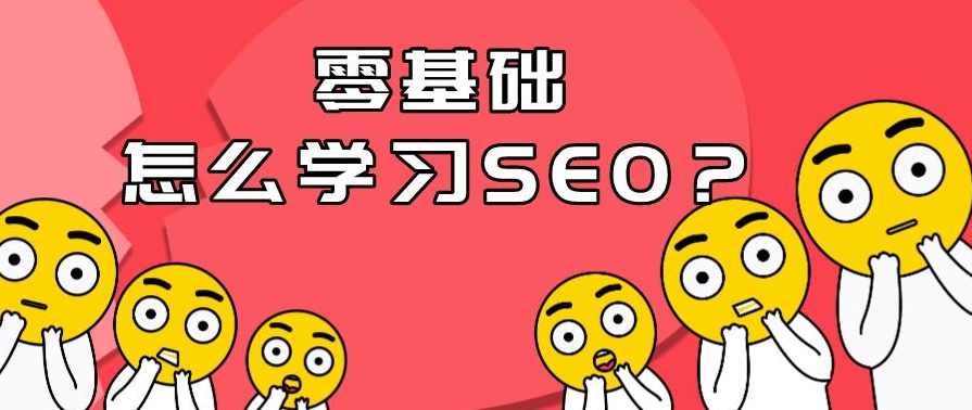 SEO精英实战教程：从基础学起，一步一步带你学会seo（全套12节课）