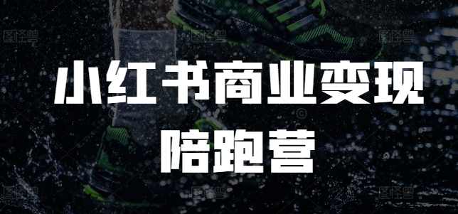 小红书商业变现陪跑营，小红书电商教程,定位,电商,第1张