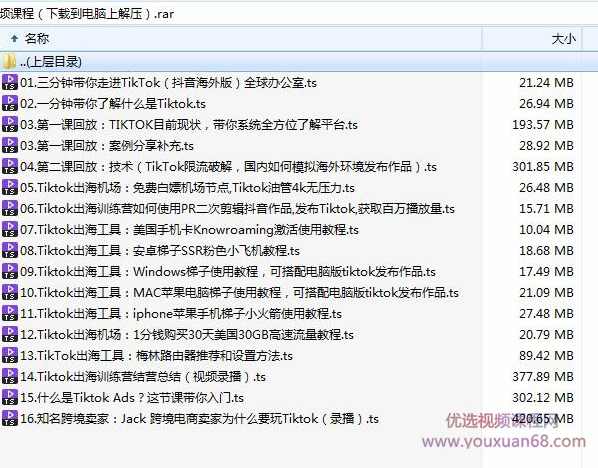 海外短视频训练营：0基础搞定抖音国际版TikTok,课程,电商,办公,第2张