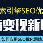 SEO搜索引擎优化总监实战VIP课堂【透析2020最新案例】