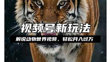 利用动物世界解说视频，赚分成计划收益，轻松月入过W，操作简单【揭秘】,副业,第1张