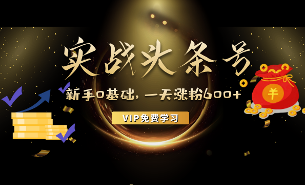 零基础玩转头条号实战训练课，实战一天涨粉600+，做自媒体也能月入过万,课程,支持,第1张