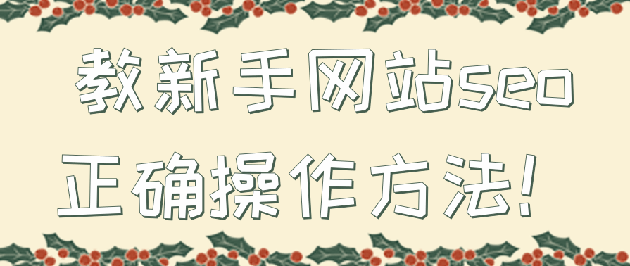 教新手网站seo正确操作方法,SEO,第1张