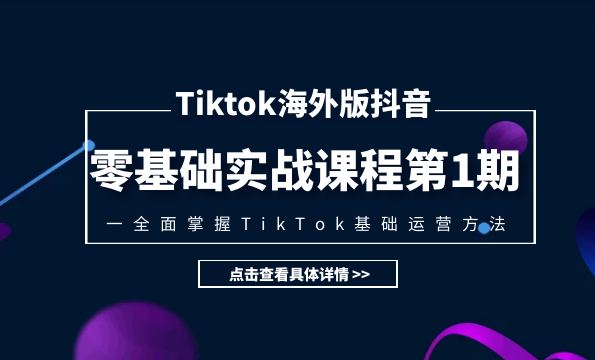 TIKTOK海外版抖音零基础实战课程第1期，全面掌握TIKTOK基础运营方法,课程,理解,艺术,运动,电子商务,第2张