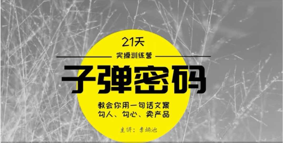 李炳池-21天《子弹秘密》训练营 21天学到顶尖文案大师的策略和技巧,课程,学习,第1张