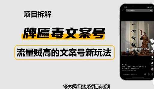 2023抖音快手毒文案新玩法，牌匾文案号，起号快易变现,支付,小程序,第1张