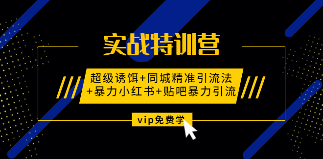 实战特训营:超级诱饵+同城精准引流法+暴力小红书+贴吧暴力引流（视频课程）