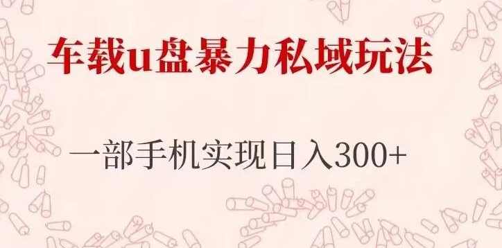 车载u盘暴力私域玩法，长期项目，仅需一部手机实现日入300+,课程,微信,第1张