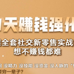 21天赚钱强化营，掌握全套社交新零售实战打法，赚回N倍学员,课程,目标,微信,团队,模板,第1张