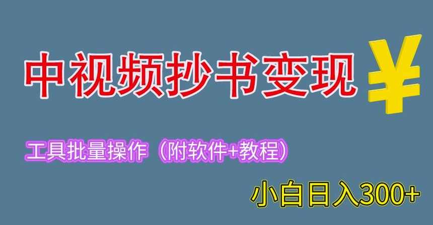 2023中视频抄书变现（附工具+教程），一天300+，特别适合新手操作的副业（揭秘）