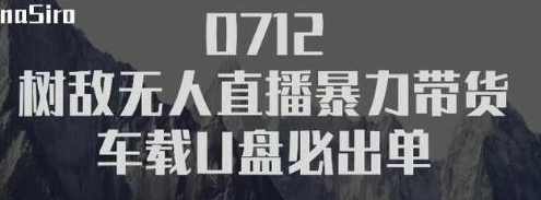 树敌习研社抖音无人直播暴力带货车载U盘必出单，单号单日产出300纯利润,专业,直播,第2张