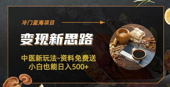 冷门蓝海项目-中医新玩法-资料免费送小白也能日入500+【揭秘】