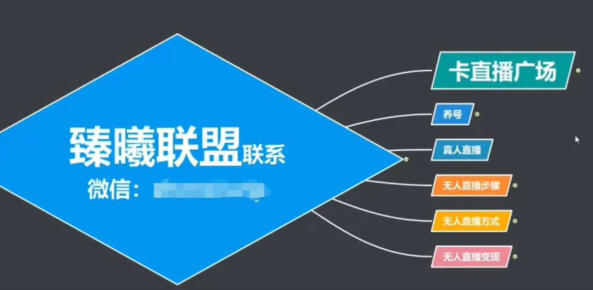 臻曦联盟，最新无人直播万人在线权重养成技术原理及详细操作步骤解析,直播,养成,第2张