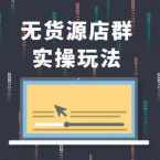 无货源店群实操玩法，蓝海选品的独特思路，店群软件操作方法（45节视频课）