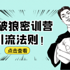 杀破狼密训营：B站霸屏引流的原理及方式+搭建赚钱的内容法则,第1张