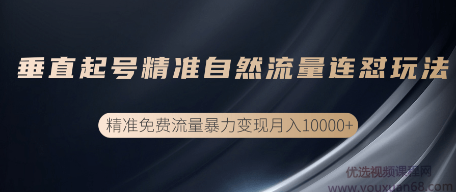 垂直起号精准自然流量连爆玩法，精准引流暴力变现月入10000+,课程,第1张
