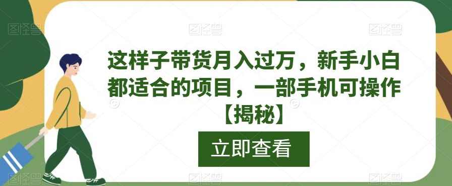 这样子带货月入过万，新手小白都适合的项目，一部手机可操作【揭秘】,第1张