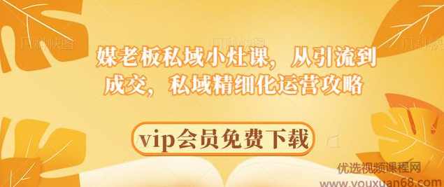 媒老板私域小灶课，从引流到成交，私域精细化运营攻略,课程,攻略,第1张