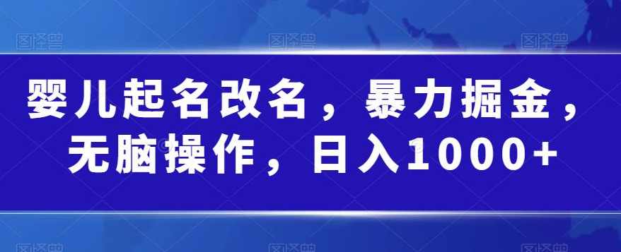 婴儿起名改名，暴力掘金，无脑操作，日入1000+【揭秘】,课程,第1张