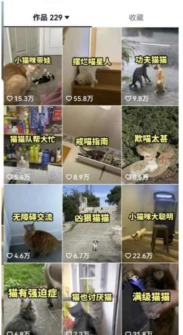 拆解抖音盘点类中视频变现副业项目，视频版一条龙大解析分享给你【视频课程】,课程,竞争,收藏,副业,第3张