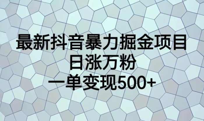 最新抖音暴力掘金项目，日涨万粉，一单变现500+【揭秘】,课程,第1张