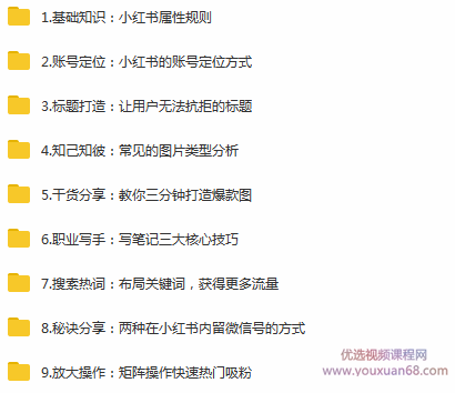 全网精准引流系列课程之小红书推广引流宝典，助你快速上热门,课程,发展,专业,定位,微信,第2张