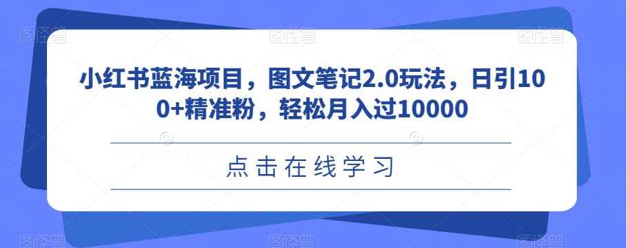 小红书蓝海项目，图文笔记2.0玩法，日引100+精准粉，轻松月入过10000【揭秘】,课程,沟通,第1张