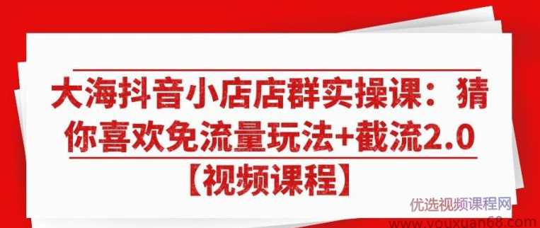 大海抖音小店店群实操课：猜你喜欢免流量玩法+截流2.0【视频课程】