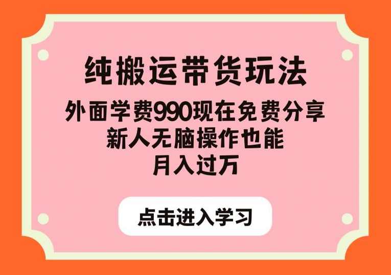 纯搬运带货玩法，外面学费990现在免费分享，新人无脑操作也能月入过万【揭秘】,课程,团队,电商,第1张