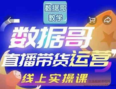 数据哥直播带货运营线上进阶课，让普通人也能靠直播赚钱,课程,直播,第1张