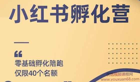勇哥小红书撸金快速起量项目：教你如何快速起号获得曝光，做到月躺赚在3000+,团队,兼职,第1张
