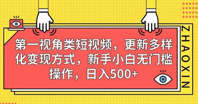 第一视角类短视频，更新多样化变现方式，新手小白无门槛操作，日入500+【揭秘】,第1张