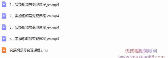 柚子团队内部课程：实操视频号变现课程，助你2021抓住赚钱风口【视频课程】,课程,学习,团队,视频制作,第2张