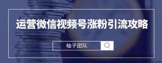 手把手教你运营微信视频号涨粉引流攻略，轻松涨粉10W+,课程,微信,攻略,第1张
