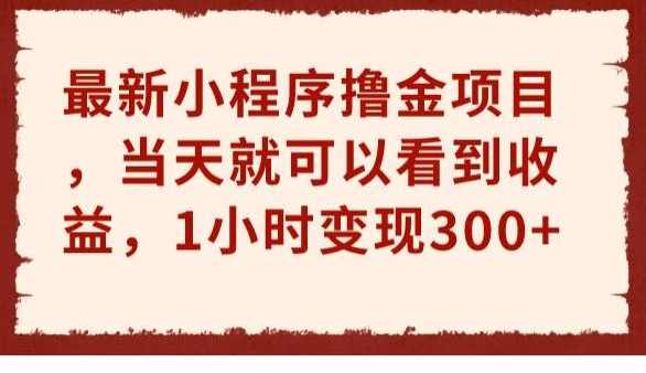 最新小程序撸金项目，当天就可以看到收益，1小时变现300+【揭秘】