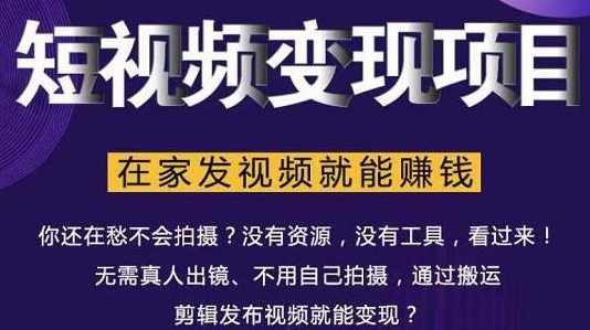 随风短视频变现项目：从0到1教你打造爆款短视频变现，在家发视频就能赚钱