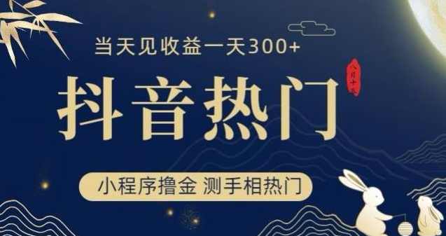 抖音最新小程序撸金，测手相上热门，当天见收益一小时变现300+【揭秘】