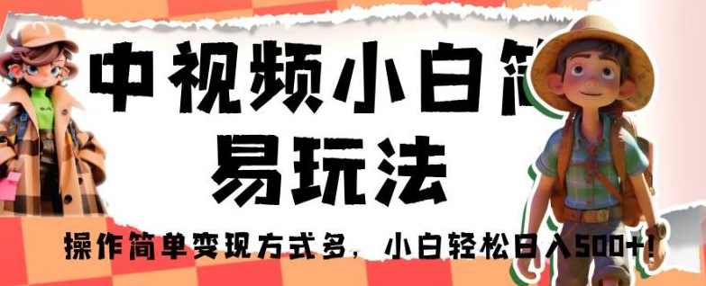 中视频小白简易玩法，操作简单变现方式多，小白轻松日入500+！【揭秘】,课程,第1张