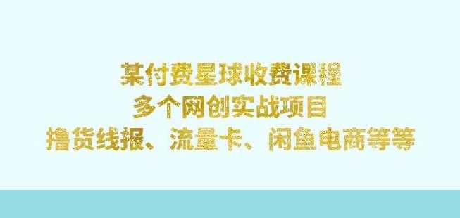 某付费星球课程：多个网创实战项目，撸货线报、流量卡、闲鱼电商等（文档非视频）