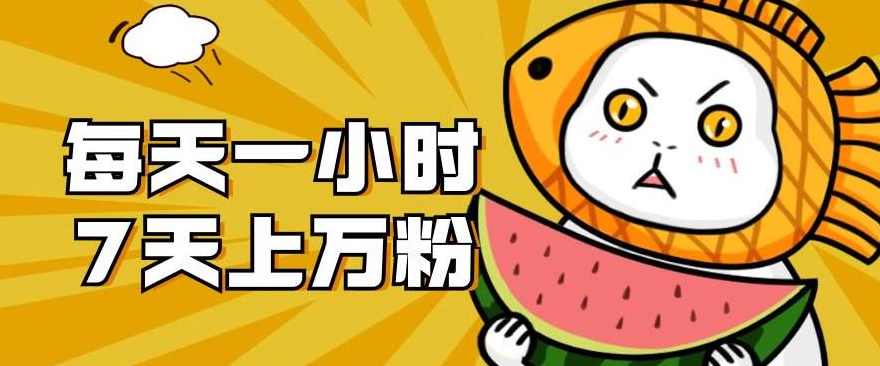 暴力涨粉项目：每天一小时，七天上万粉【揭秘】,课程,理解,微信,团队,模板,第1张