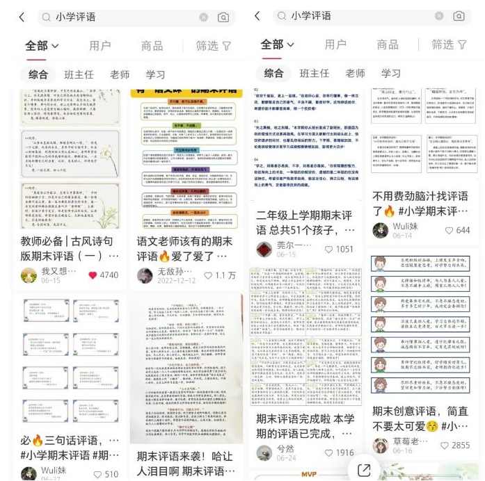 副业拆解：小红书学期评语资料变现项目，视频版一条龙实操玩法分享给你,课程,副业,第3张