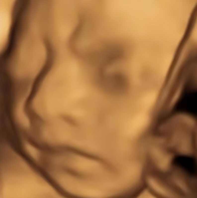 AI四维彩超预测，一单9.9-98，3分钟出图，一天变现1000+【揭秘】,目标,人工智能,漫画,第2张