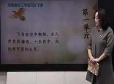 小学三年级语文下册课本知识点同步教学视频(部编版 下学期 69小讲),学习,小说,第1张