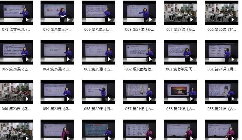 小学五年级语文上册课本知识点同步教学视频(部编版 上学期 69小讲),课程,学习,小说,漫画,第2张