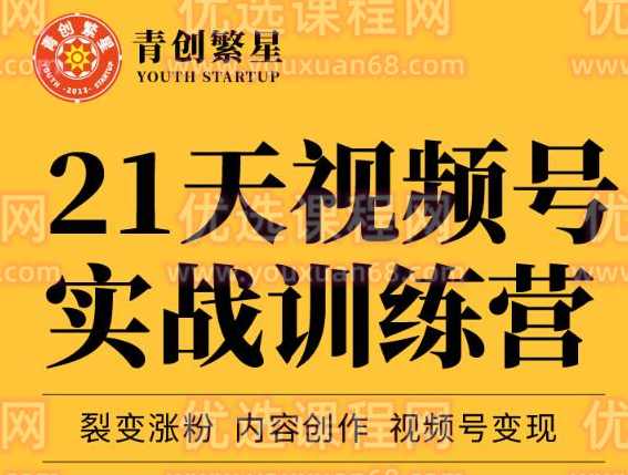 张萌21天视频号实战训练营，裂变涨粉、内容创作、视频号变现 价值298元