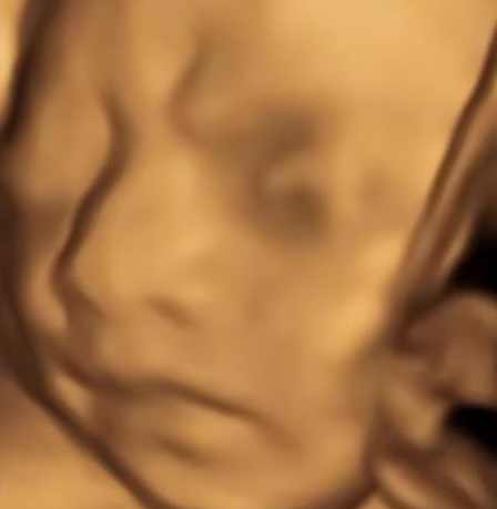 适合0基础小白做的小红书颜值打分小众项目，一条作品收入1000＋【揭秘】,课程,第1张