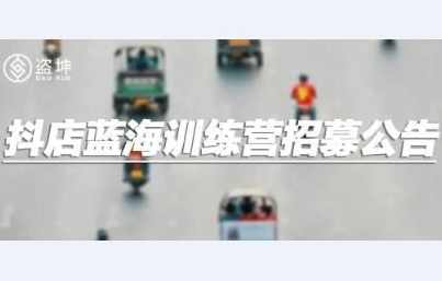 盗坤·抖店蓝海训练营,课程,直播,第1张