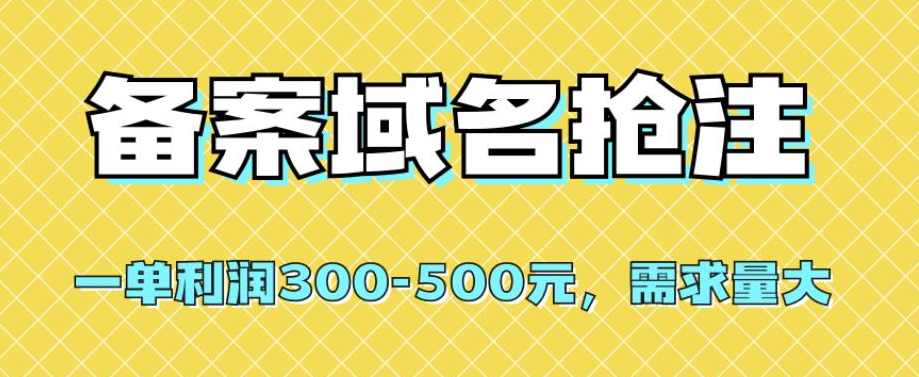 【全网首发】备案域名抢注，一单利润300-500元，需求量大,课程,学习,第1张