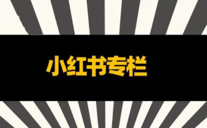 品牌医生·小红书全链营销干货